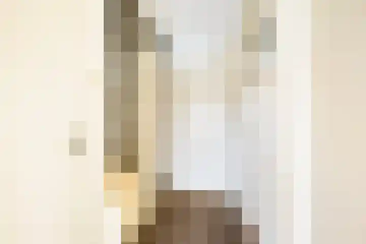 Gysbert Japicxstrjitte 37 Stiens thumbnail 13
