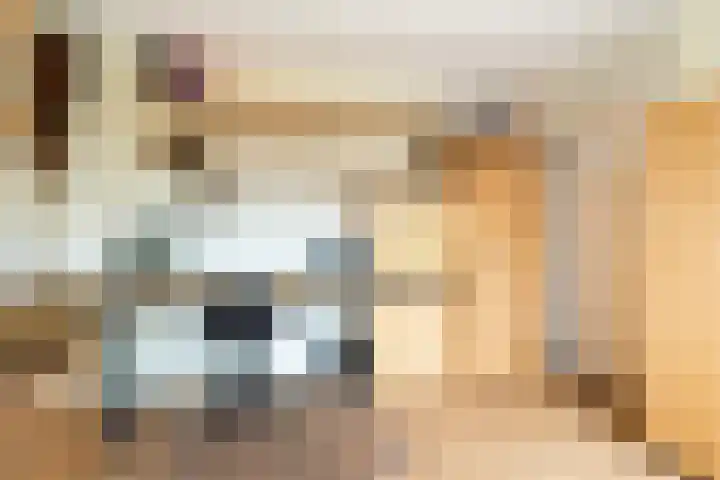Gysbert Japicxstrjitte 37 Stiens thumbnail 17