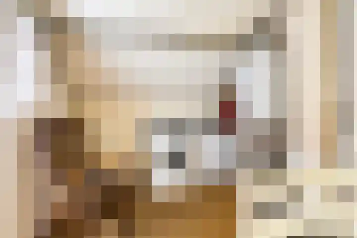 Gysbert Japicxstrjitte 37 Stiens thumbnail 21