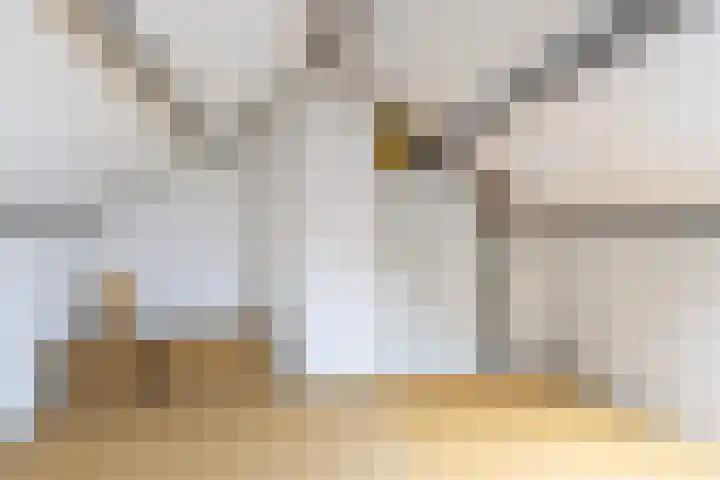Gysbert Japicxstrjitte 37 Stiens thumbnail 23