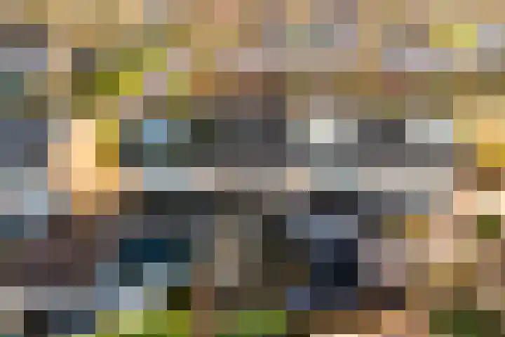 Gysbert Japicxstrjitte 37 Stiens thumbnail 28