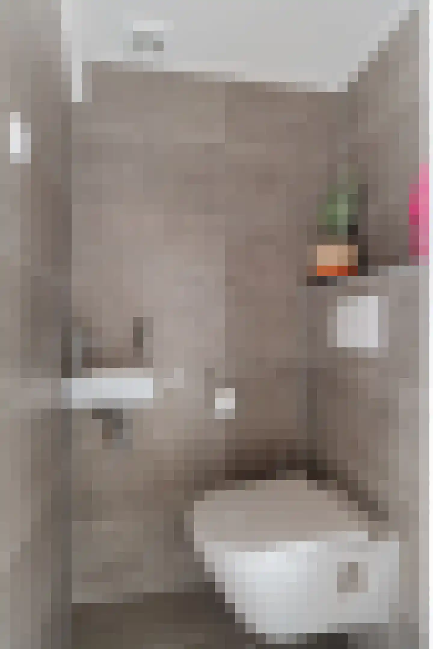 Gysbert Japicxstrjitte 47 Stiens thumbnail 10