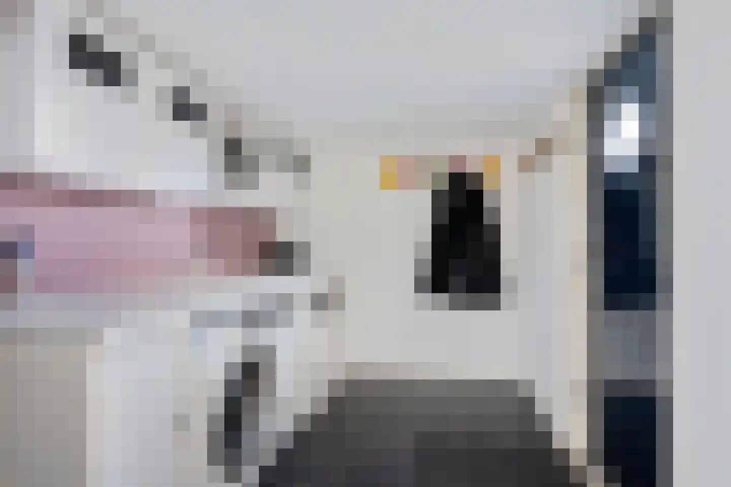 Gysbert Japicxstrjitte 47 Stiens thumbnail 20