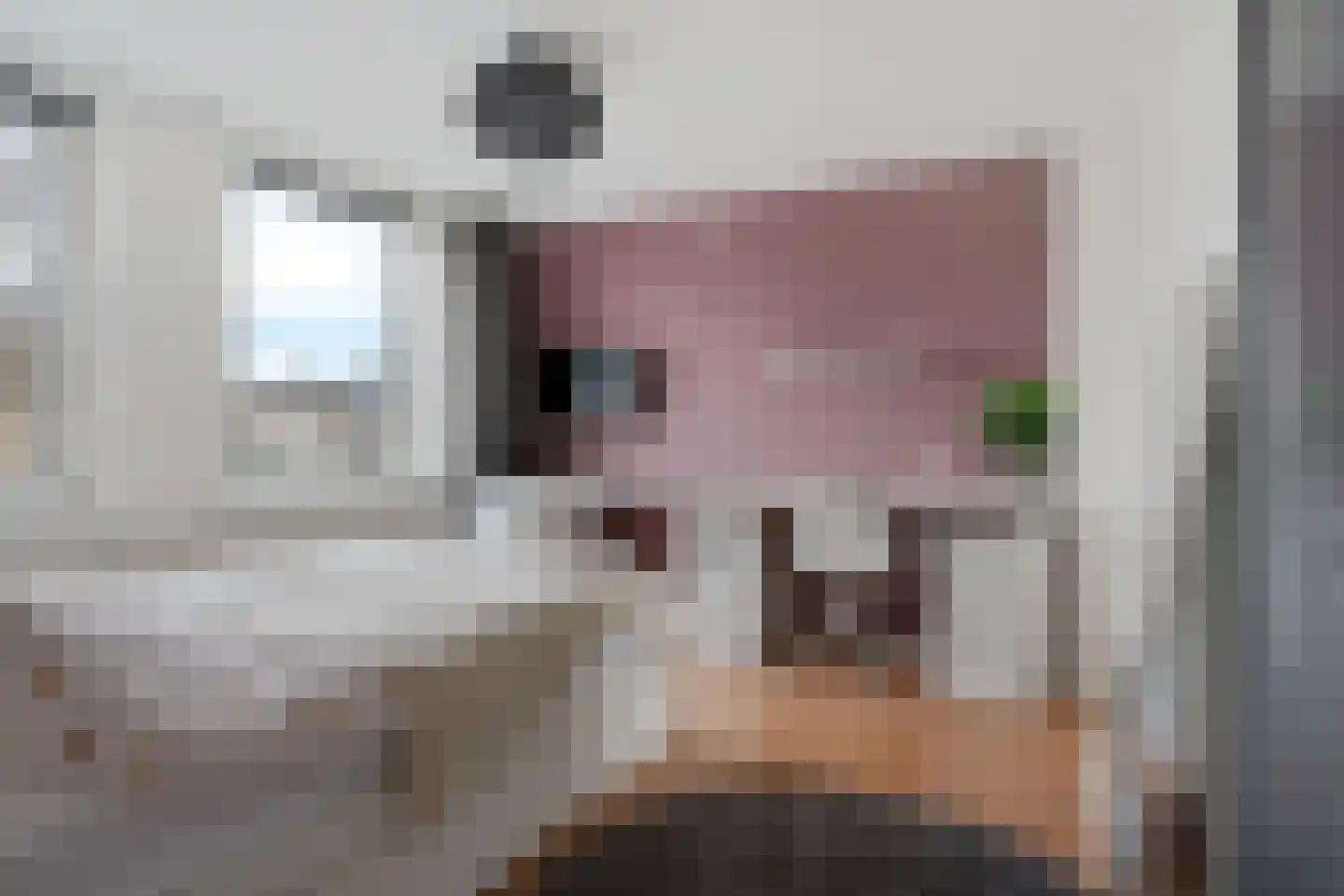 Gysbert Japicxstrjitte 47 Stiens thumbnail 24