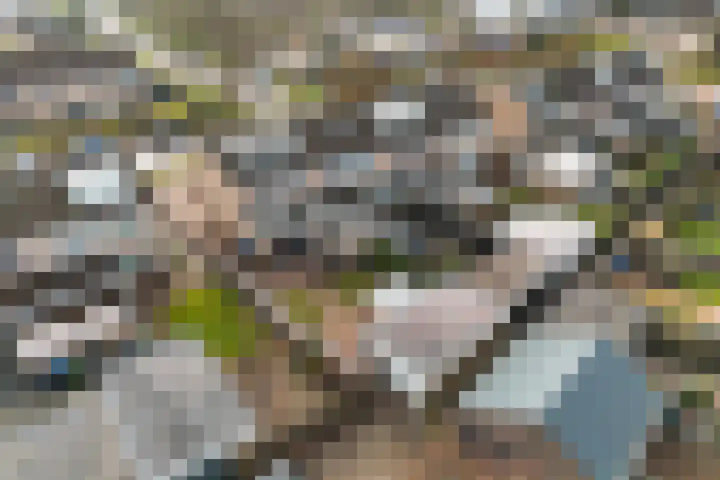 Gysbert Japicxstrjitte 47 Stiens thumbnail 34