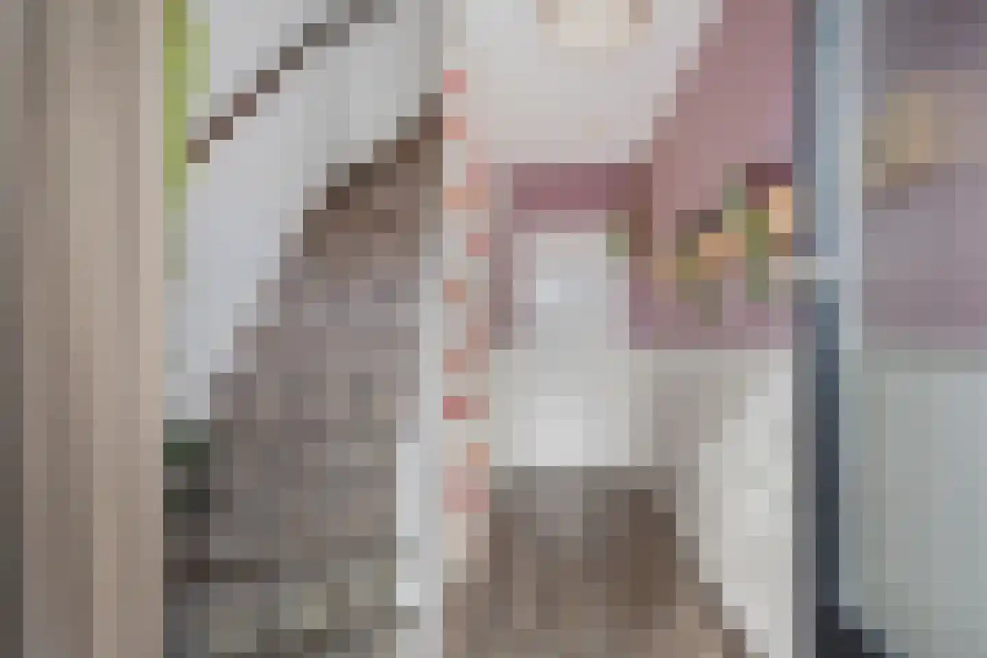 Gysbert Japicxstrjitte 47 Stiens thumbnail 8