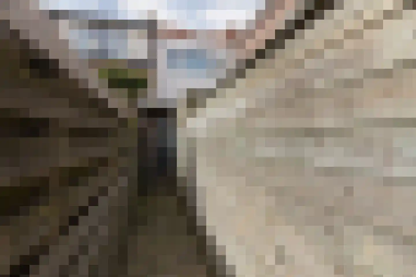 Gysbert Japiksstraat 10 Sneek thumbnail 32