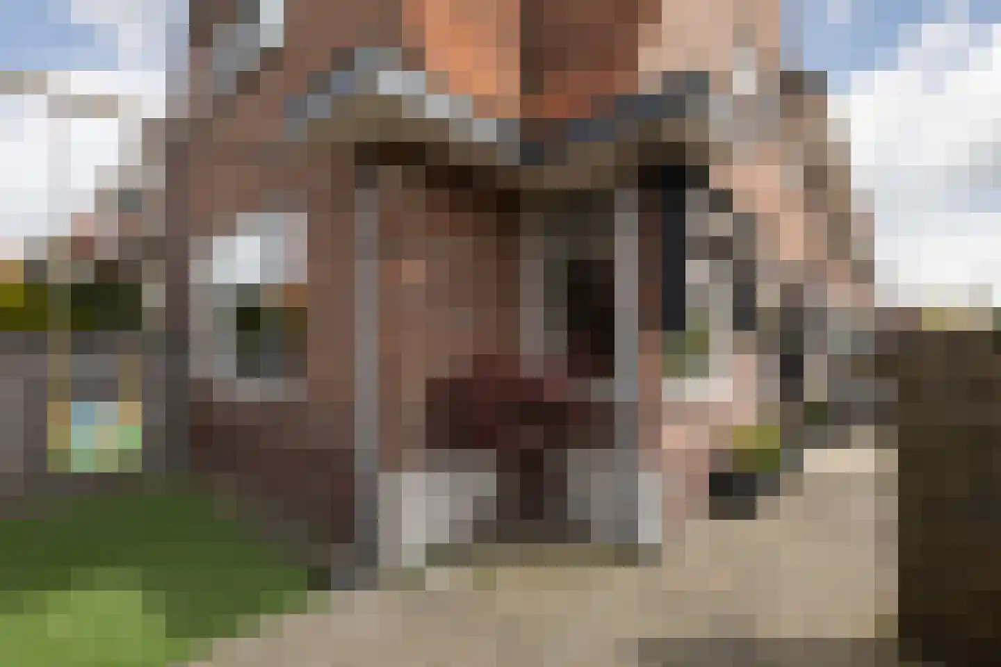 Gysbert Japiksstraat 10 Sneek thumbnail 37