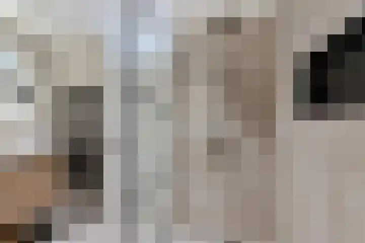 Gysbert Japiksstraat 13 Joure thumbnail 32