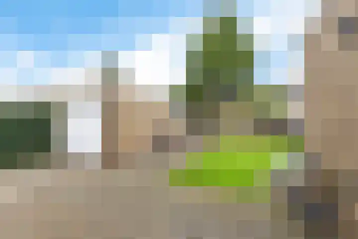 Gysbert Japiksstraat 13 Joure thumbnail 37