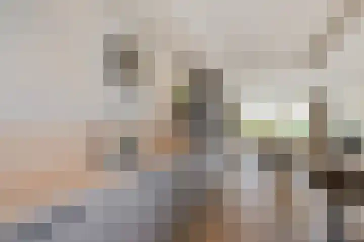 Gysbert Japiksstraat 13 Joure thumbnail 4