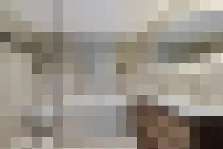 Gysbert Japiksstraat 13 Joure thumbnail 5