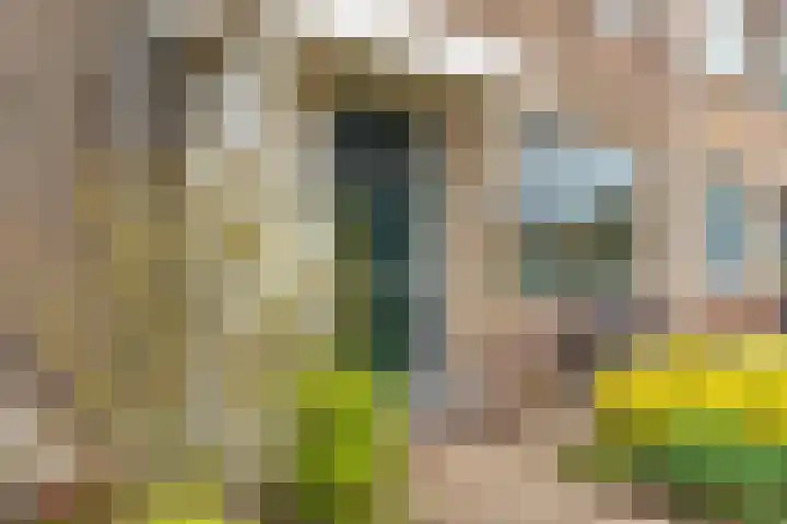 Gysbert Japiksstraat 13 Joure thumbnail 7