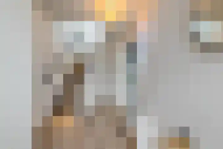 Gysbert Japiksstraat 13 Joure thumbnail 8