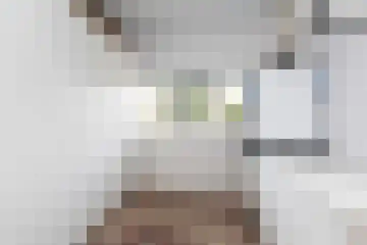 Gysbert Japiksstraat 14 Sneek thumbnail 22