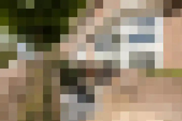 Gysbert Japiksstraat 14 Sneek thumbnail 34