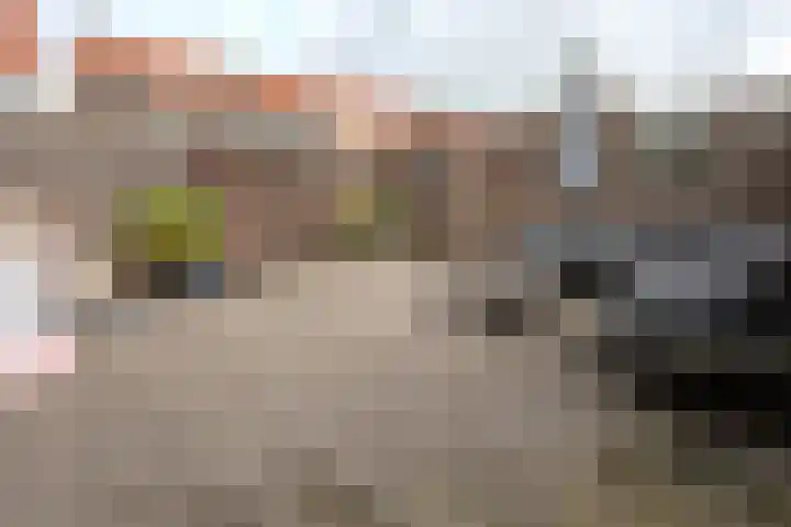 Gysbert Japiksstraat 28 Sneek thumbnail 6