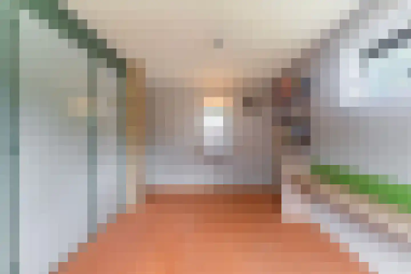Gysbert Japiksstraat 34 Buitenpost thumbnail 31
