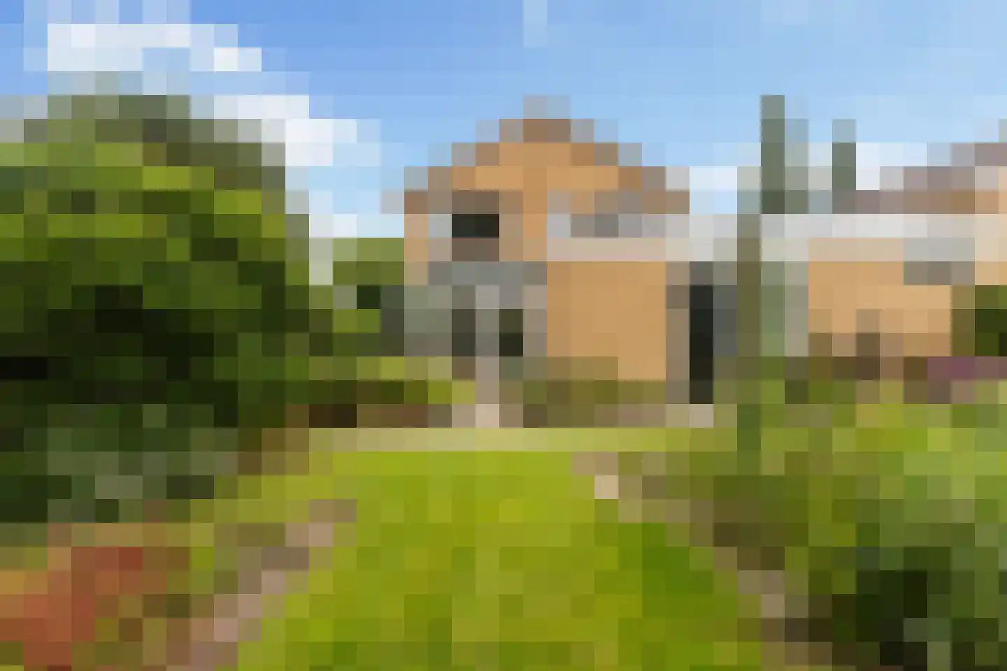 Gysbert Japiksstraat 34 Buitenpost thumbnail 4