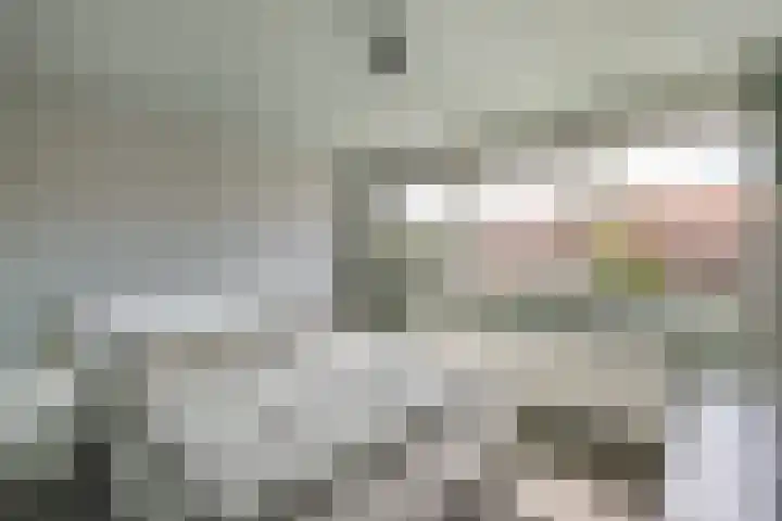 Gysbert Japiksstraat 36 Joure thumbnail 17