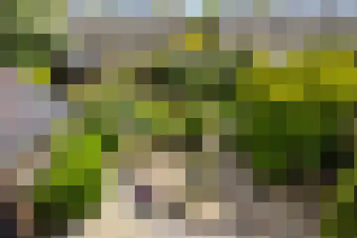 Gysbert Japiksstraat 38 Buitenpost thumbnail 34