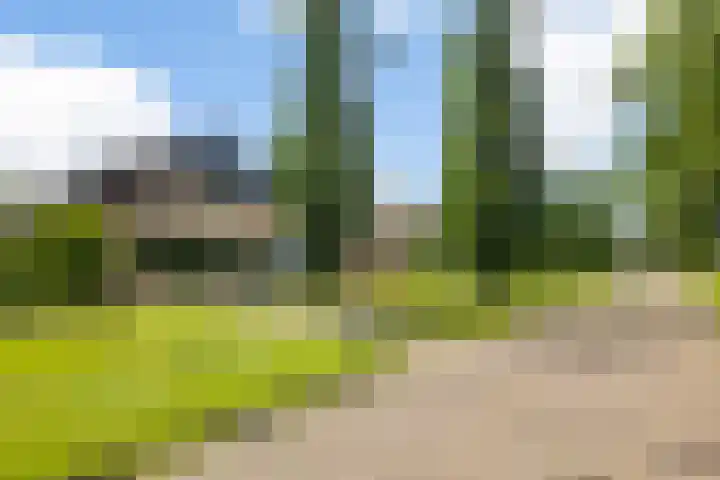 Gysbert Japiksstraat 38 Buitenpost thumbnail 47