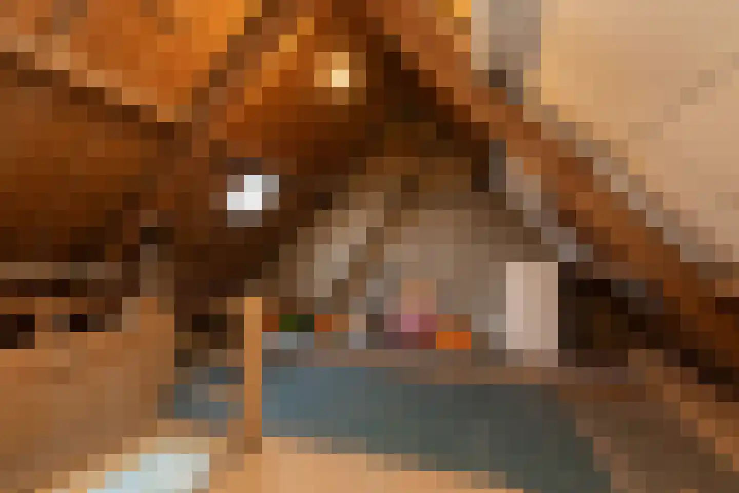 Gysbert Japiksstraat 4 Sneek thumbnail 24
