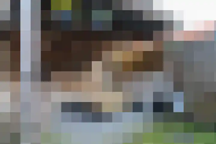Gysbert Japiksstraat 40 Sneek thumbnail 34