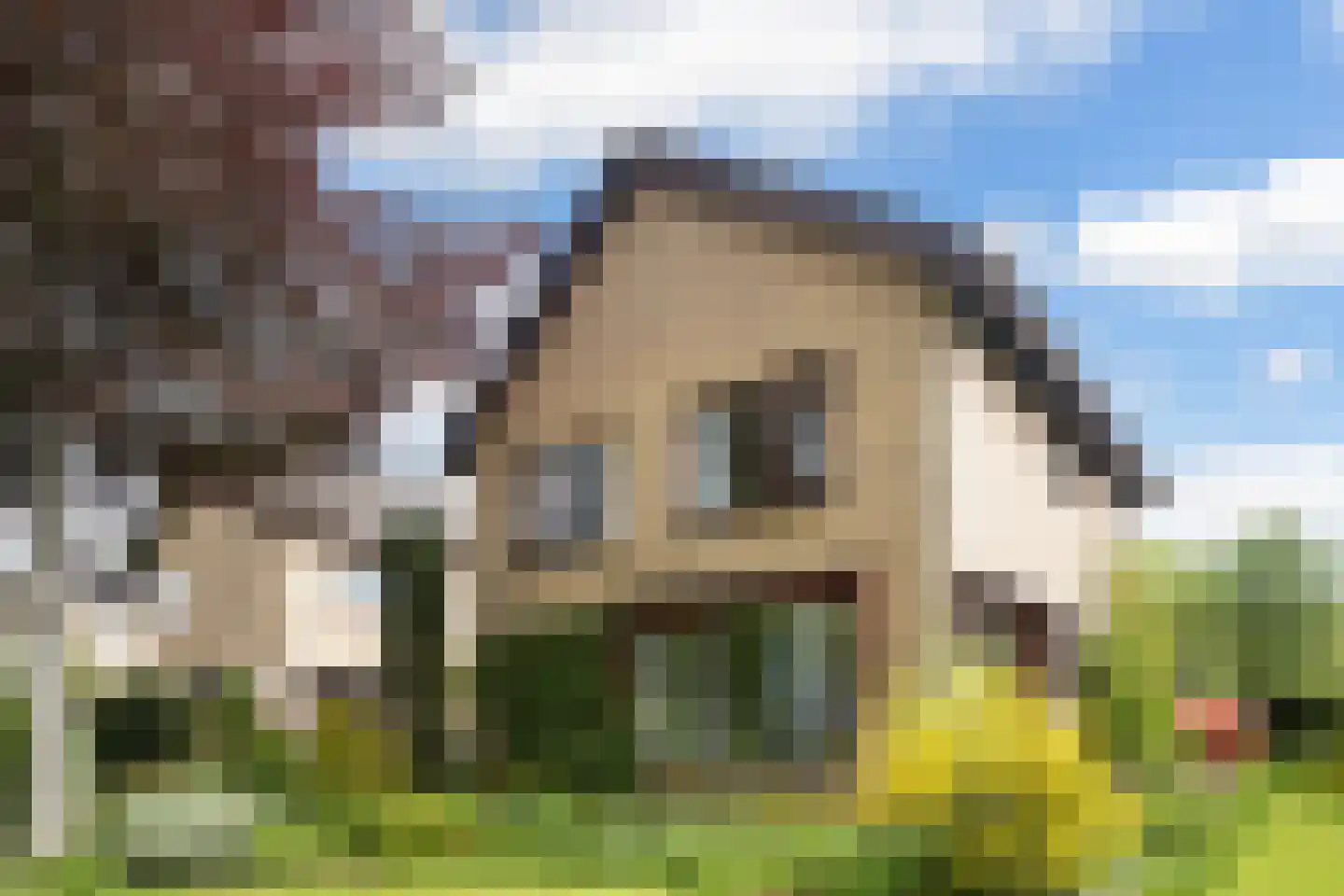 Gysbert Japiksstraat 42 Buitenpost thumbnail 11