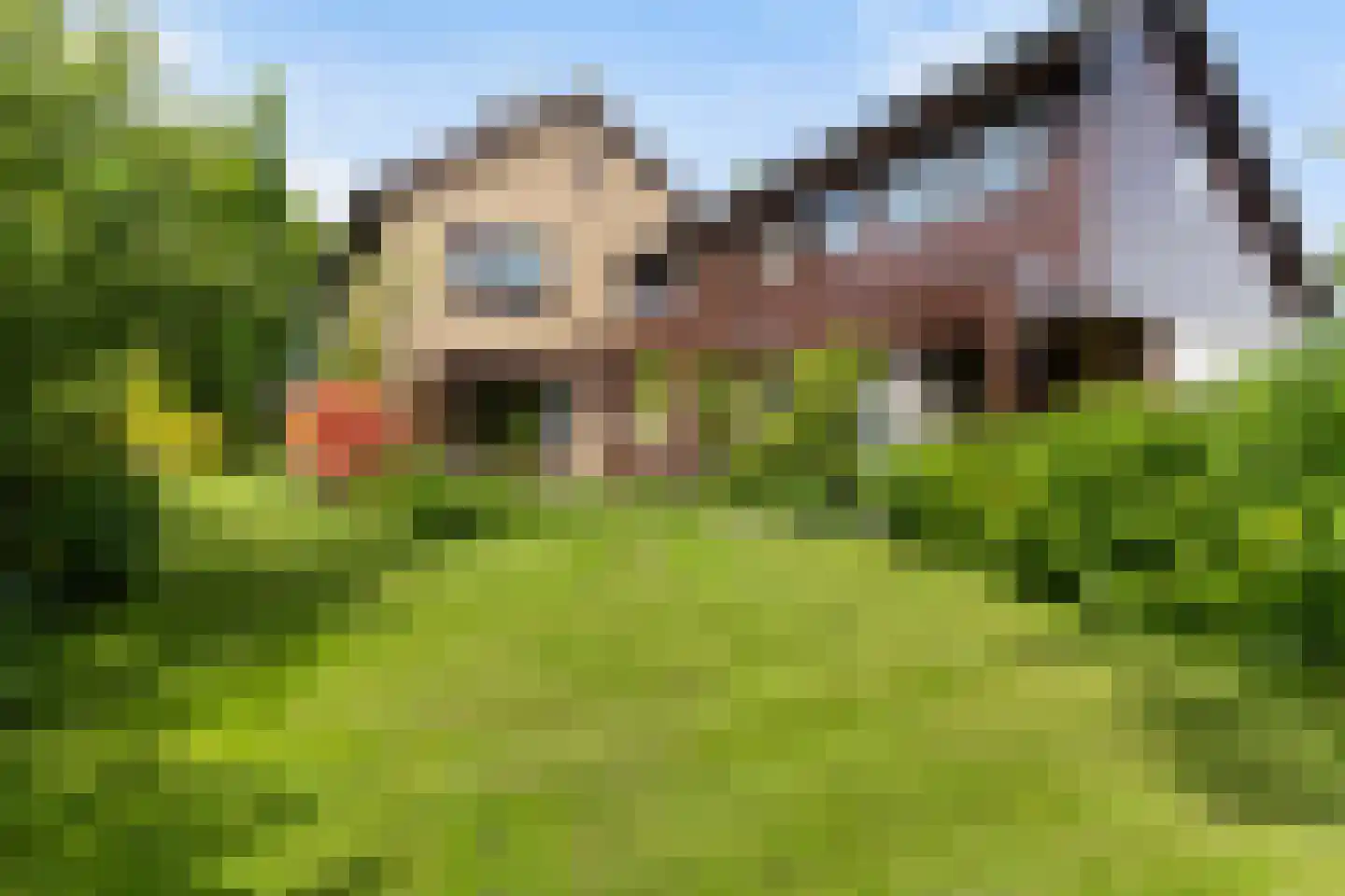 Gysbert Japiksstraat 42 Buitenpost thumbnail 25