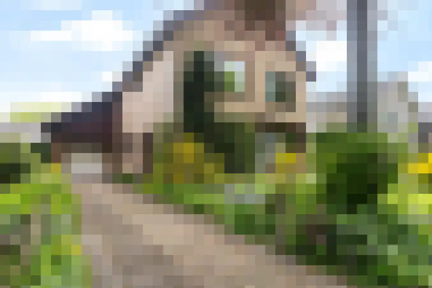 Gysbert Japiksstraat 42 Buitenpost thumbnail 6