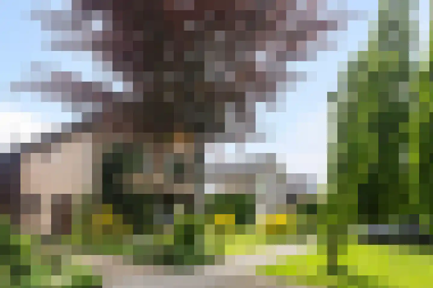 Gysbert Japiksstraat 42 Buitenpost thumbnail 7