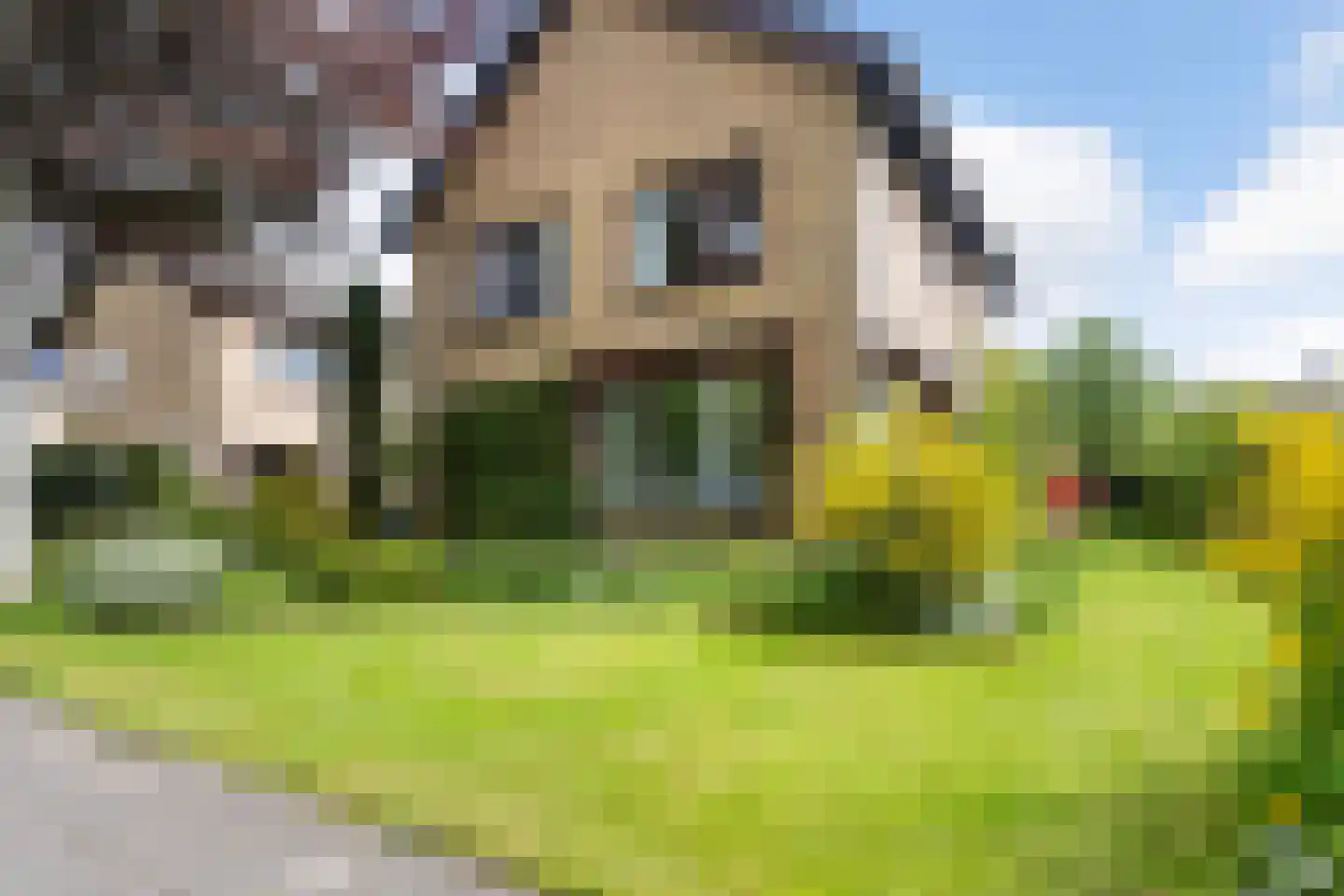 Gysbert Japiksstraat 42 Buitenpost thumbnail 9