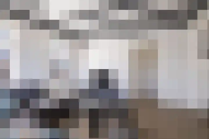 Gytsjerksterhoeke 12 Gytsjerk thumbnail 15
