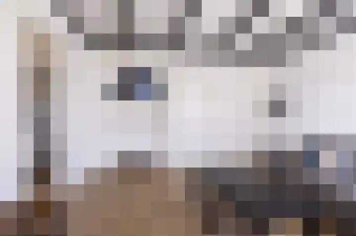 Gytsjerksterhoeke 12 Gytsjerk thumbnail 16