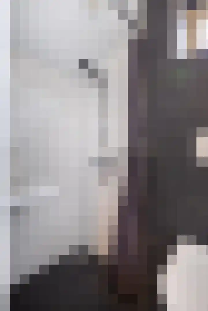 Gytsjerksterhoeke 12 Gytsjerk thumbnail 23