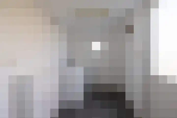 Gytsjerksterhoeke 12 Gytsjerk thumbnail 24