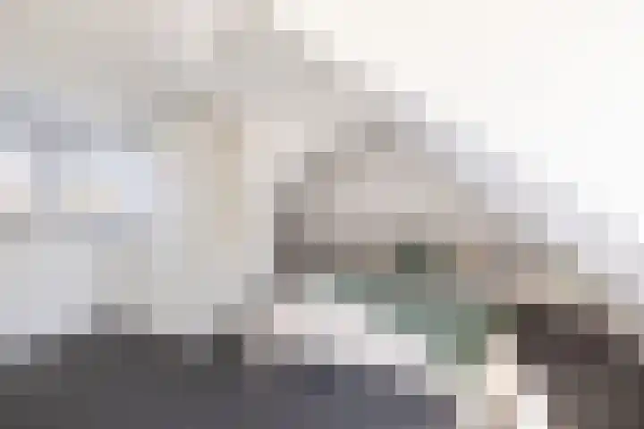 Gytsjerksterhoeke 12 Gytsjerk thumbnail 27