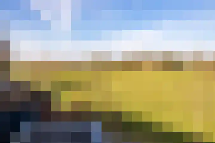 Gytsjerksterhoeke 12 Gytsjerk thumbnail 29