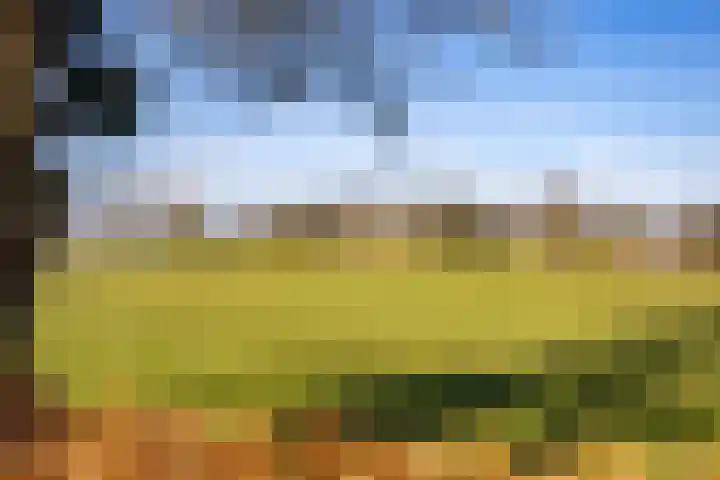 Gytsjerksterhoeke 12 Gytsjerk thumbnail 32
