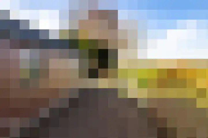 Gytsjerksterhoeke 12 Gytsjerk thumbnail 36