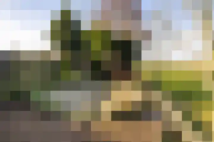 Gytsjerksterhoeke 12 Gytsjerk thumbnail 37