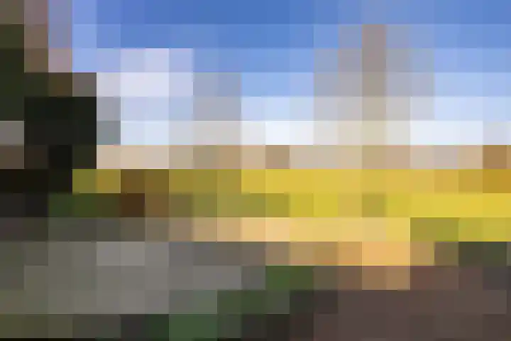 Gytsjerksterhoeke 12 Gytsjerk thumbnail 38