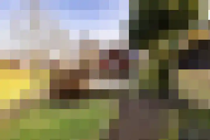 Gytsjerksterhoeke 12 Gytsjerk thumbnail 39