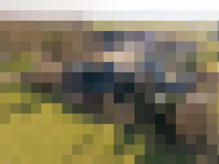 Gytsjerksterhoeke 12 Gytsjerk thumbnail 41