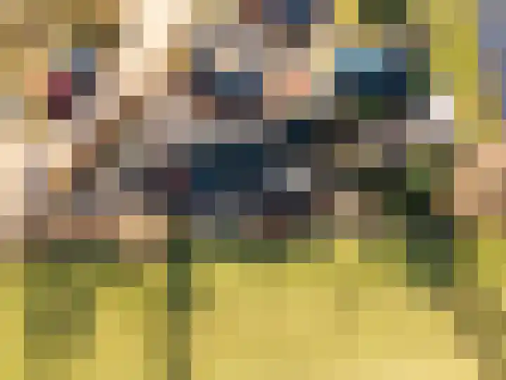 Gytsjerksterhoeke 12 Gytsjerk thumbnail 42