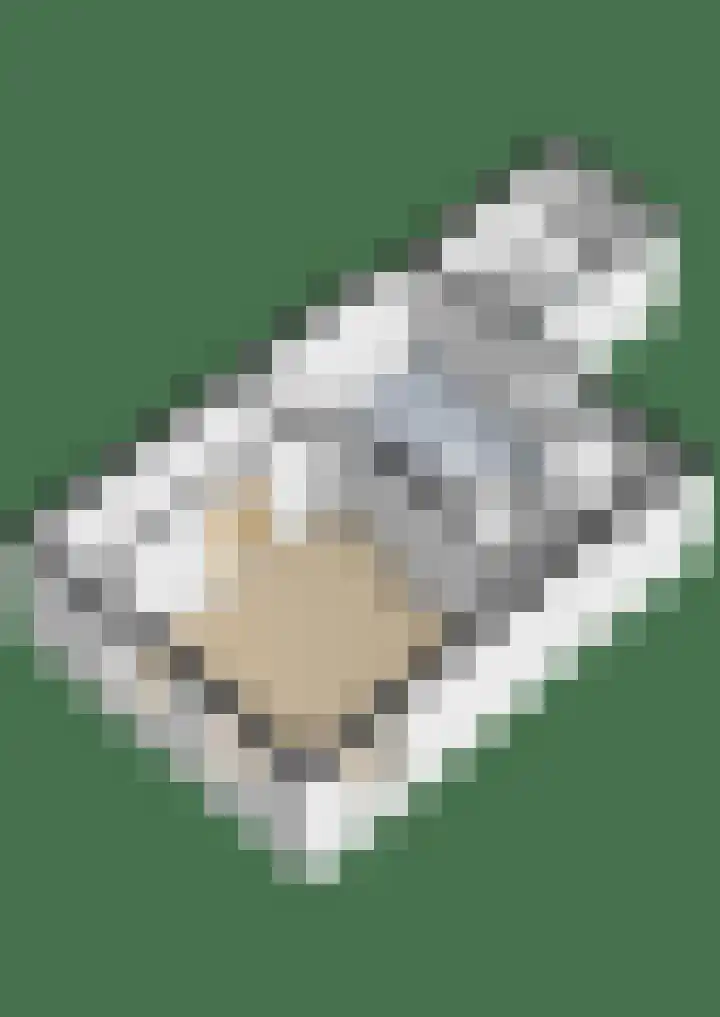 Gytsjerksterhoeke 12 Gytsjerk thumbnail 44