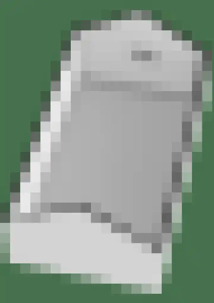 Gytsjerksterhoeke 12 Gytsjerk thumbnail 48