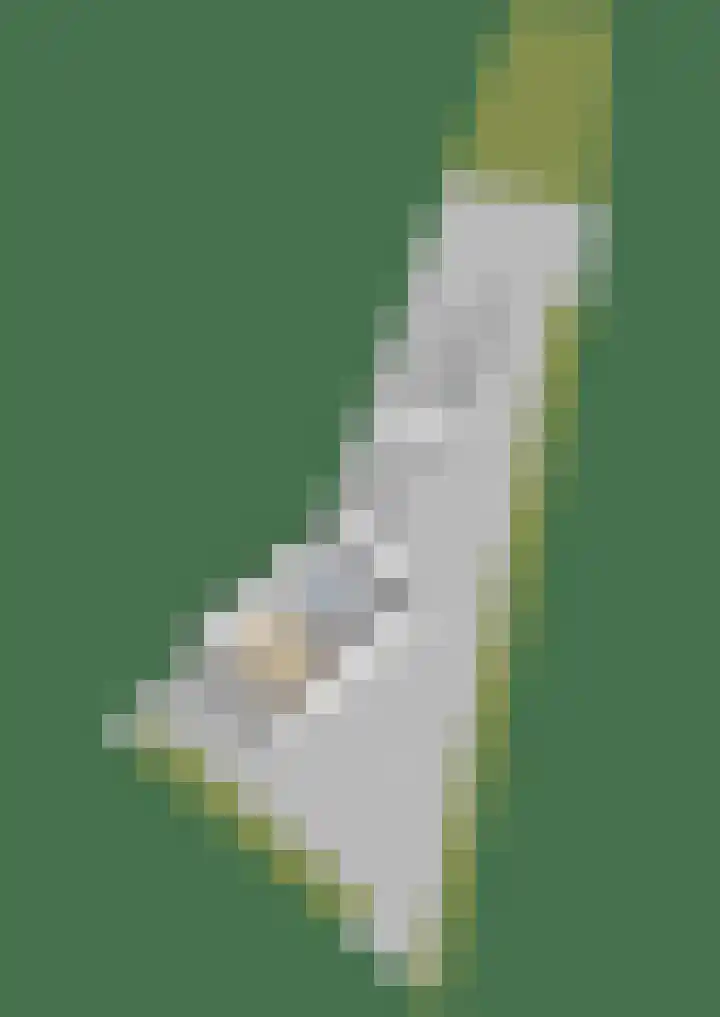 Gytsjerksterhoeke 12 Gytsjerk thumbnail 50