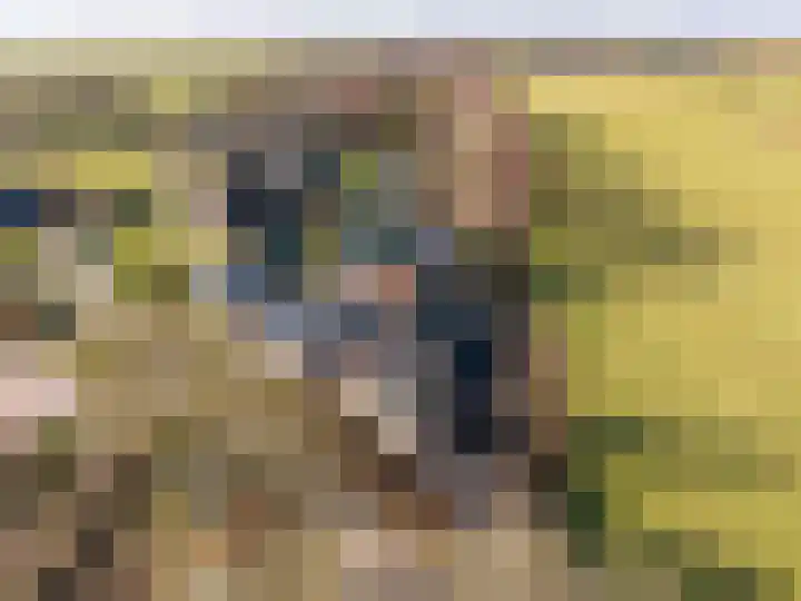 Gytsjerksterhoeke 12 Gytsjerk thumbnail 6
